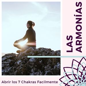 Chamanes (Música para Sueños de Spa)