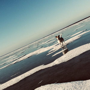 Прогулки по луне