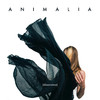 Animalia - Ocean Blue