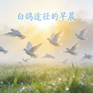 白鸽途径的早晨