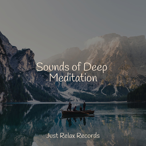 Suspended in Tranquil Heights