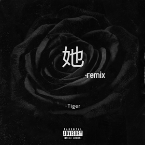 她-Remix
