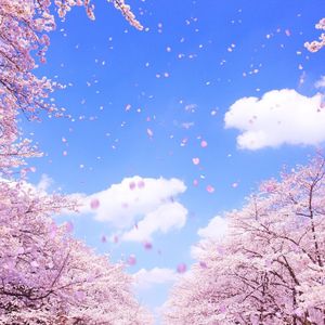 锈蚀齿轮圆舞曲