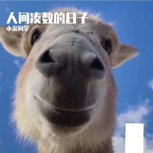 苹果香（抖音版）