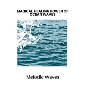 Bugs in the Nightforest