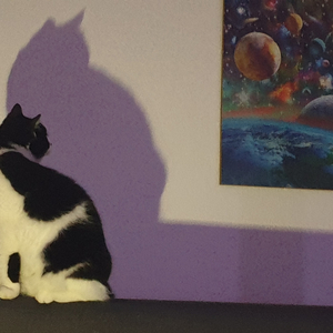 strahl (feat. valou)