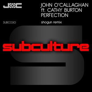 Perfection (Shogun Remix)