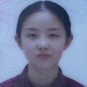 幻雪拳