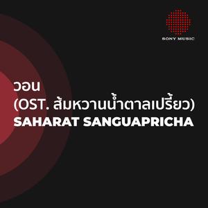 วอน (Cover Version for Lakom)