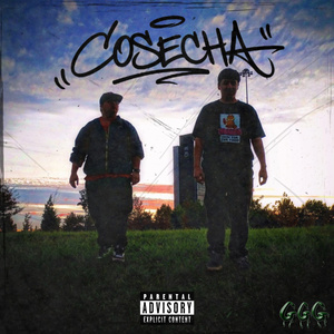 Cosecha