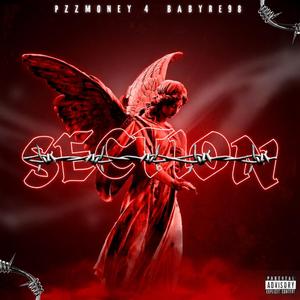 Section (feat. Babyree98)