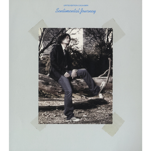 センチメンタル・ジャーニー