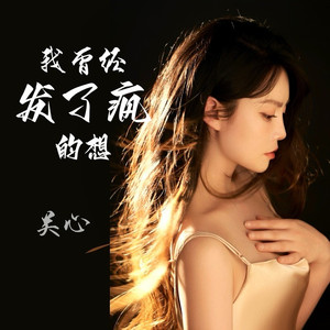 我曾经发了疯的想 (DJ默涵版)