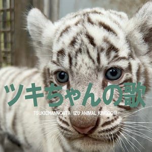 ツキちゃんの歌