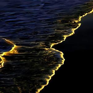 美卷入画dj（抖音热播版）