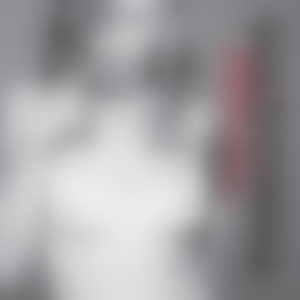 Voices (Dubtronic Distant Echo Remix)