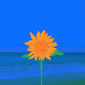 需要保密的情话