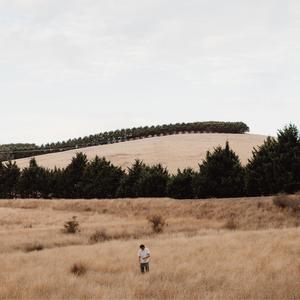 Pictures of the Moon