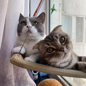 小雪今天打怪兽了吗