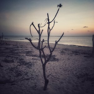 Негативные стороны