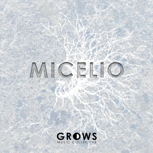 Micelio