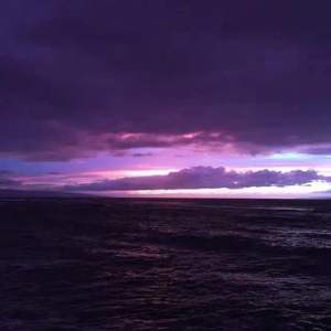 大雾四起看不见你