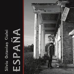 Sonata Giocosa: I. Allegro moderato