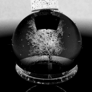 Geschwindigkeitsteufel