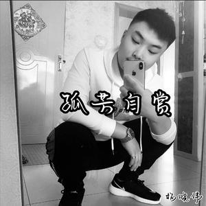 孤芳自赏（翻自 DJ阿超）