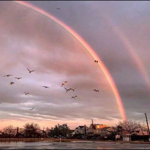 画皮（热门版）