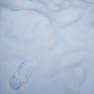 Snow Footsteps in Garden