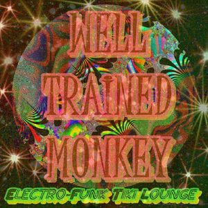 Moody Island Gods - "Electro-Funk Tiki Lounge"