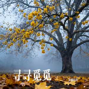 寻寻觅觅