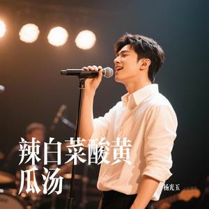 辣白菜酸黄瓜汤