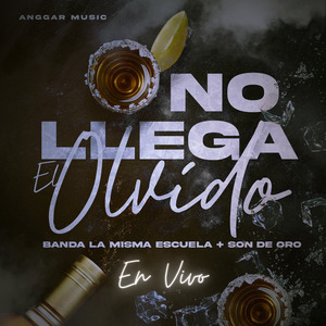 No Llega El Olvido (En Vivo)
