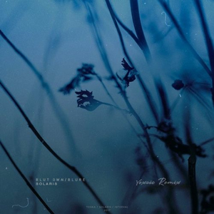 Solaris (Vexaic Remix)