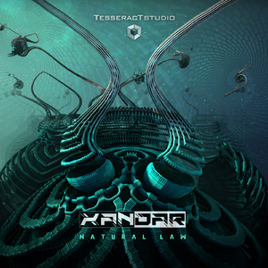 Natural Law (Original Mix)