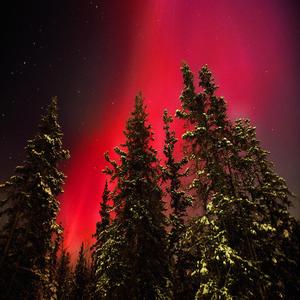 Crimson Red