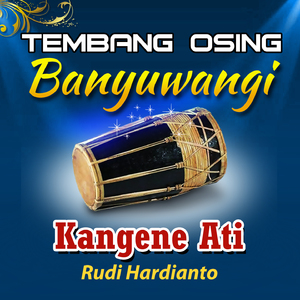 Kangene Ati