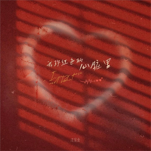 我玫红色的心脏里（DJ版）