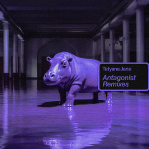 Antagonist (Christian Coiffure Remix)