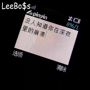 sapientdream-外面的小雨（walls remix）（LeeBo$s remix）