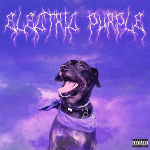 Electric Purple