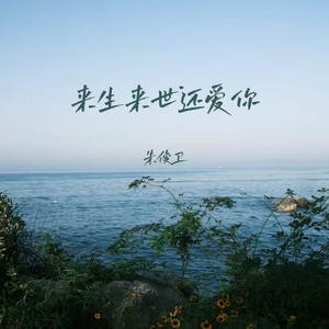 来生来世还爱你 (DJ阿能版)