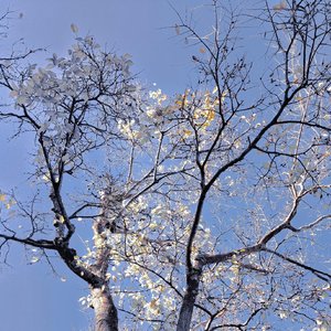 盛哲-在你的身边（秋月白 remix）