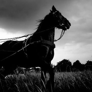 TYUIERT(Original Mix)