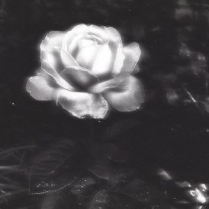 把我们在彼此回忆里谋杀