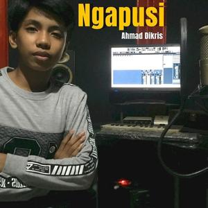 Ngapusi