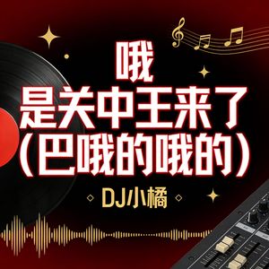 哦 是关中王来了（巴哦的哦的）