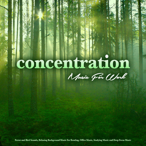 Working From Home Music